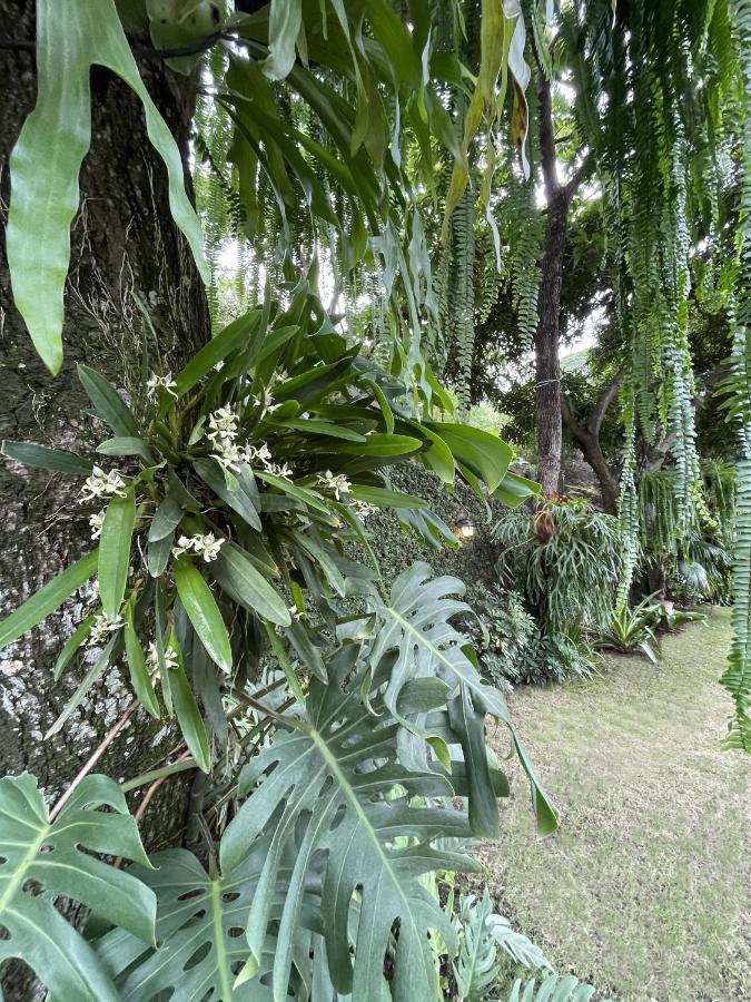 Iguanazu Bed & Breakfast Guayaquil Buitenkant foto